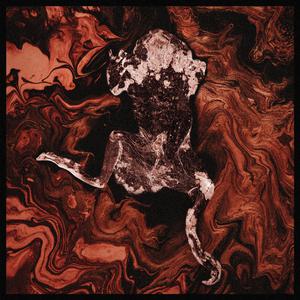 老婆和狗哪个了
